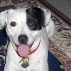 Maureen Clifford Poetry