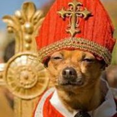 Perro Cancerbero Onacis