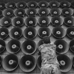 Jungle Mix