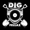 DIGFELLAZ