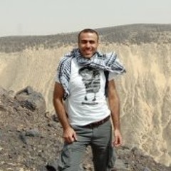 Amr M. Youssef