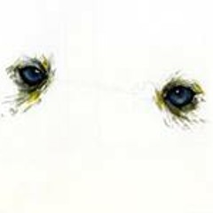 Demmian Ariel Vilches