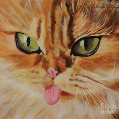 Orange-Cat