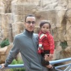 Mohamed Atef El Masry