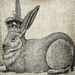 The Rabbit King