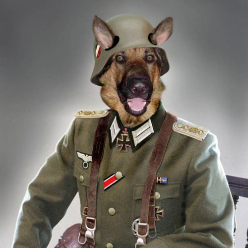 You Kick My Dog Prank by snip58 You Kick My Dog Prank by snip58