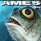 AmeSon system