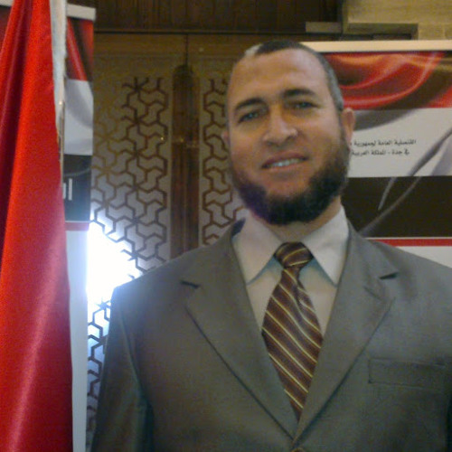Nasr Alamrawy’s avatar