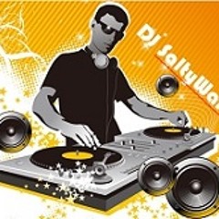 DJ SaltyWalt