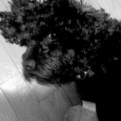 Sounds from Sunday morning