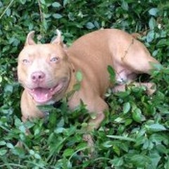 Brittany-michael Mooney