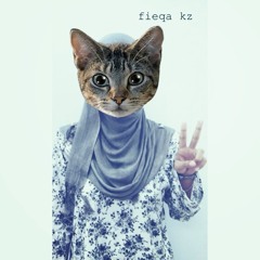 fieqa_kz