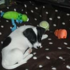 Richard Arsenal FC Mabe