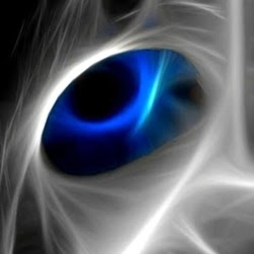 K.I.T. (Keep It Tight)