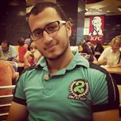 Ahmed Rizk Aly