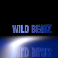 WildBeatz