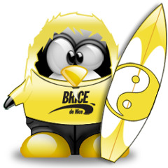 Gonçalo Fialho 1980