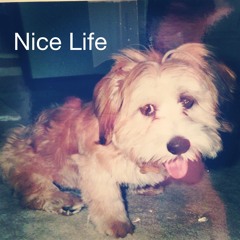 NiceLife