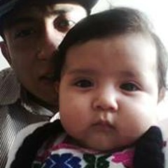 Reckewotsote Vita Insanus