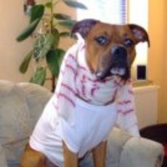 Jorge Liebes-Lorenzo