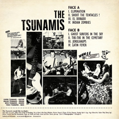The Tsunamis