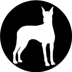 Dobermann Collective