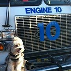 Michael A. Capriglione