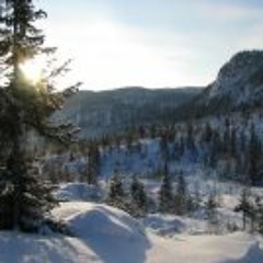 Signy Alvsåker