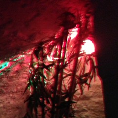 Bizzartech Vs the World