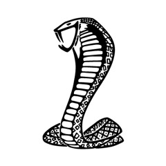 LowdownCobra