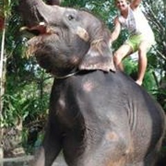 Dextermimlnmjkkjjm 1k