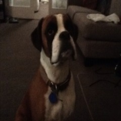 Champzy