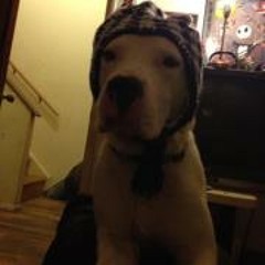 PartyBoy3201