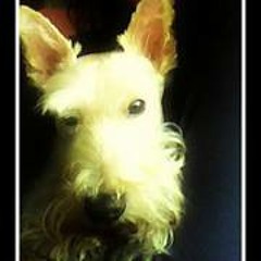 Patricia Sweeney Caston