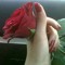 fadya84
