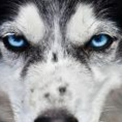 Matthias Georg Bieling