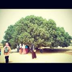 Ukhuwah Dar Al Mustofa