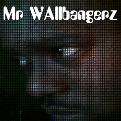 Mr Eerie Wallbangerz