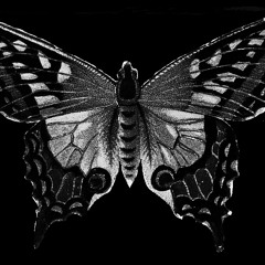 TheBlackButterfly