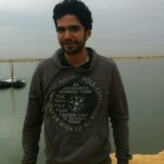 Aly Abdelrhman Ashour