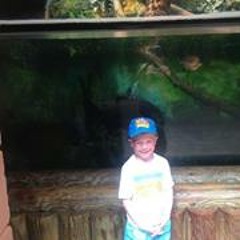 Donna Marie Moorhouse