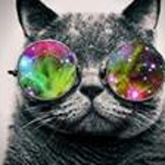 Chuchu Mamadou Yaphet Jr.