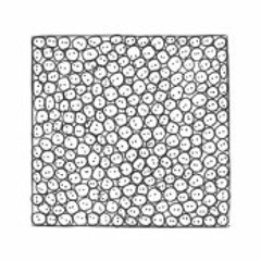 Chambre Avec Vue Trio