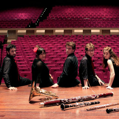 Erasmus Wind Ensemble
