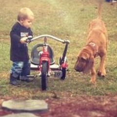 Randall-Donna Lanier