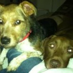 Takuya Savoin Kikuchi