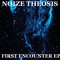 NoizeTheosis