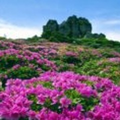 Lynn Carrington Henson