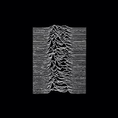 Nacho Suarez NachPols