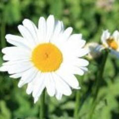 Samantha Buckingham 2